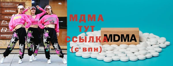 шишки Надым