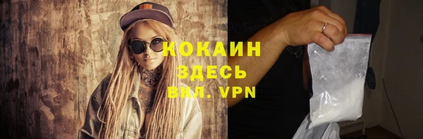 стаф Бородино