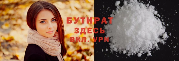 шишки Надым