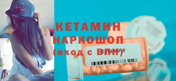 шишки Надым