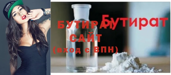 шишки Надым