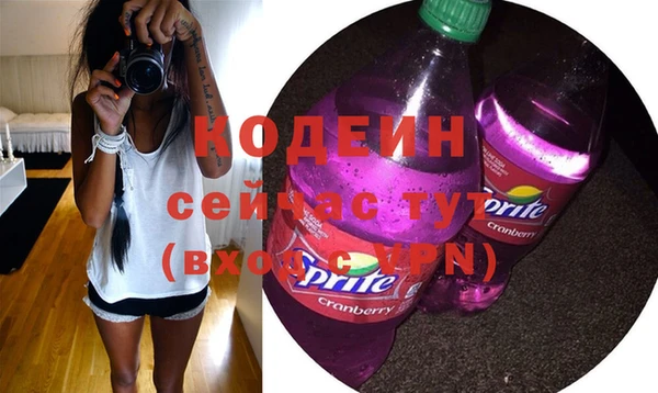 шишки Надым
