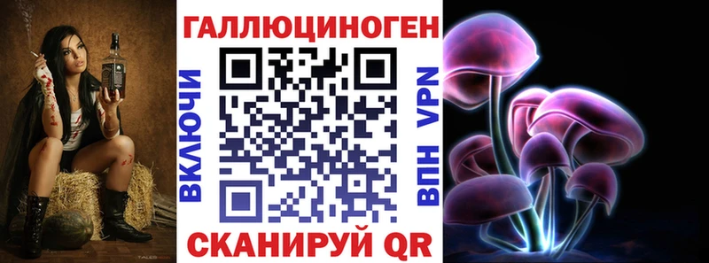 blacksprut ССЫЛКА  Дубовка  Псилоцибиновые грибы мицелий 